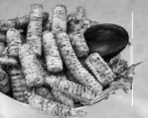 Baby Corn Golden Fry 