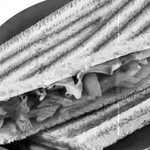 Jain Veg Cheese Grill Sandwich