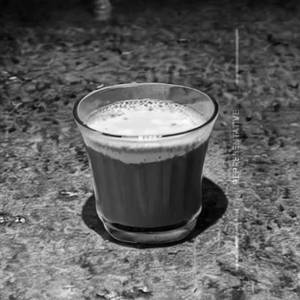Tulsi Ginger Elaichi Milk Chai (Cold)