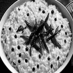 Curd Rice 