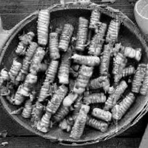 Baby Corn Chilly