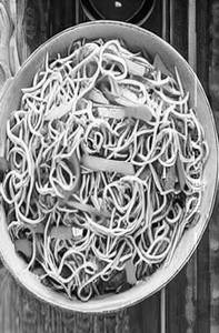 Veg Hakka Noodles [Full]
