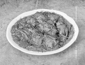 Shev Bhaji