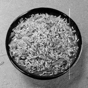 Veg Manchow Rice