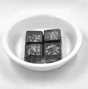 Dark Chocolate [Dryfruit] 4 Pc