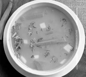 Veg Clear Soup