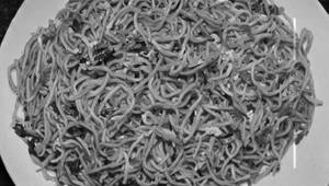 Egg Noodles