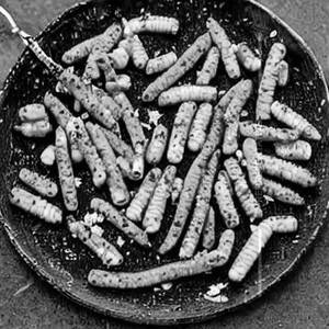 Corn pepper fry