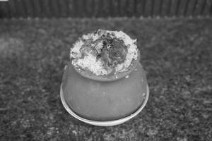 Raju Gari Mamsam Kunda Pulao