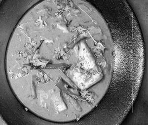 Mustard fish curry