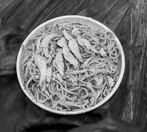 Chicken noodles