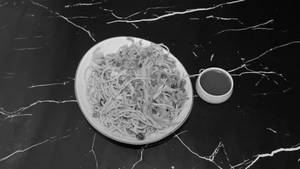 Veg Hakka Noodles