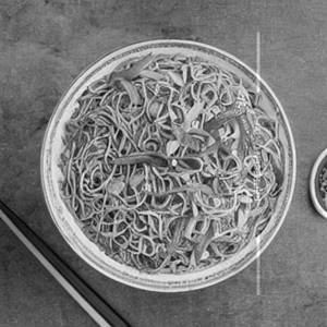 Mixed Singaporean Noodles