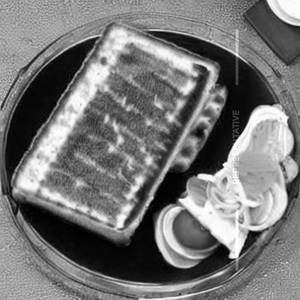 Grilled Paneer Cheese Sandwich
