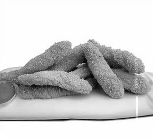 Chicken fingers