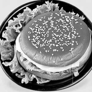 Veggie Cheese