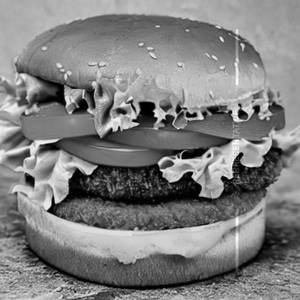 Green Garden Burger
