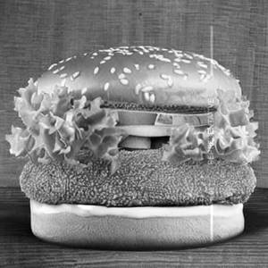 Chicken O Fish Double Tower Burger