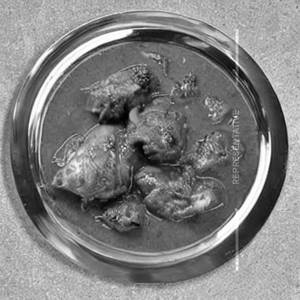 Odissi chicken