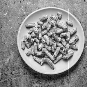 Crispy American Corn