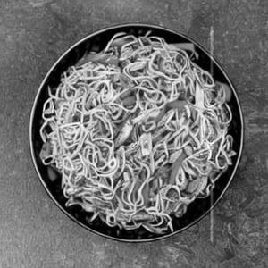 Chicken Hakka Noodles