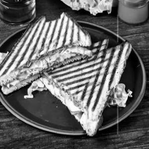 Chicken Cheese Grilled Sandwich