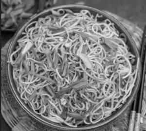 Hakka noodles