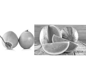 Tender Coconut Watermelon (750M!)