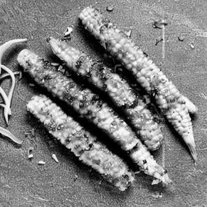 Chilly Baby Corn