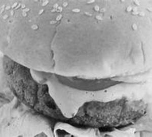 Corn Burger