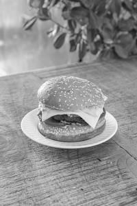 Cheesy Burger