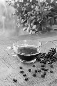 Espresso Shot(60 Ml)