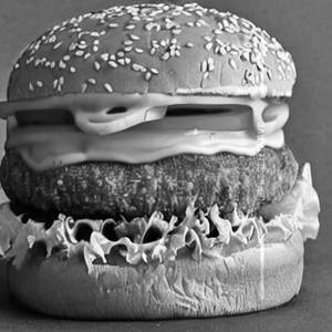 Peri Peri Chicken Cheese Burger