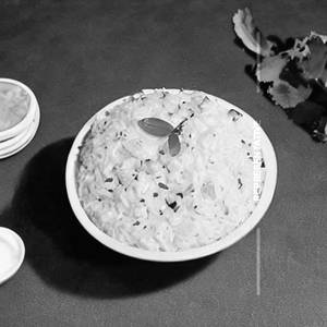 Curd Rice