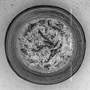 Kashmiri rice