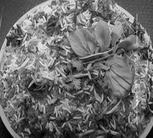 Egg  briyani