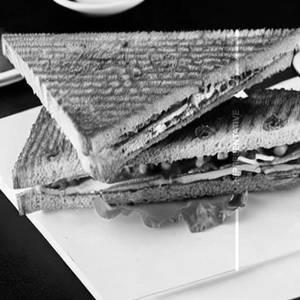 Rasoi Special Sandwich
