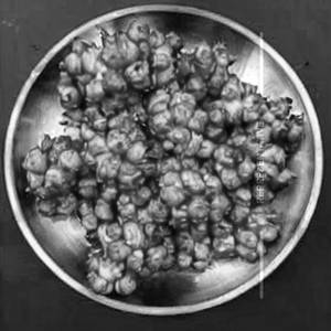 Bikaneri crispy corn