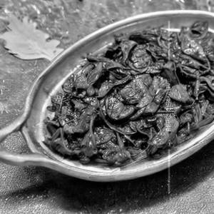 Palak Mushroom