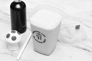 Shroom Coffee Frappe
