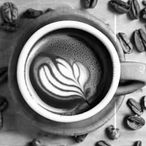 Walnut Coffee
