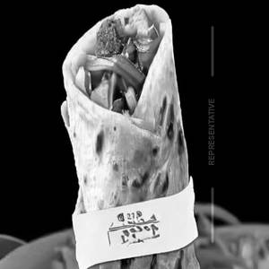 Chicken Egg Roll