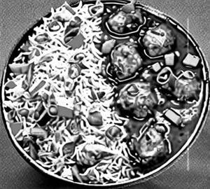 Chicken Manchurian Fried Rice