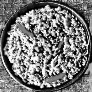 Veg Schezwan Combination