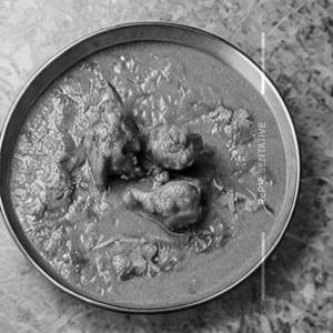 Chicken Shahi Korma (Plate)