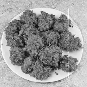 Veg Crispy
