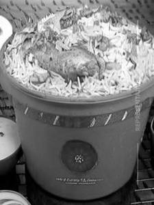 Chicken Bucket Biryani Medium
