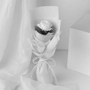 Elegant Single White Rose
