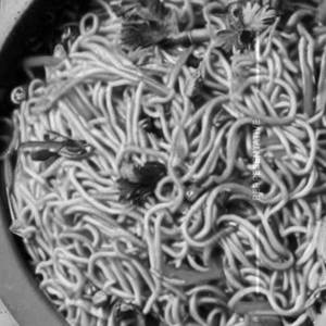 Prwan noodles