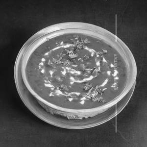 Dal makani